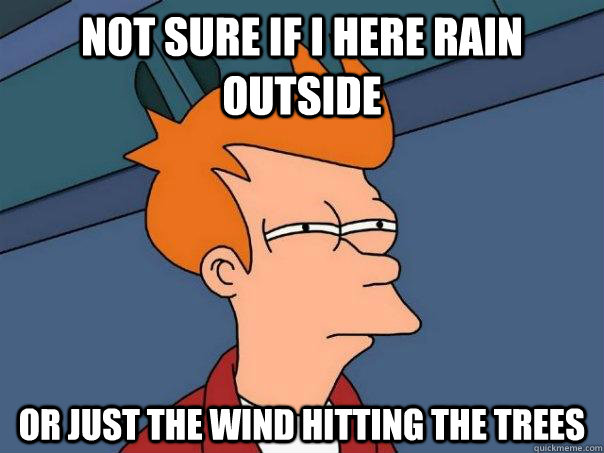 Not sure if i here rain outside Or just the wind hitting the trees   Futurama Fry