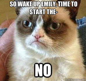 so wake up emily, time to start the- no  - so wake up emily, time to start the- no   Grumpy Cat Meme