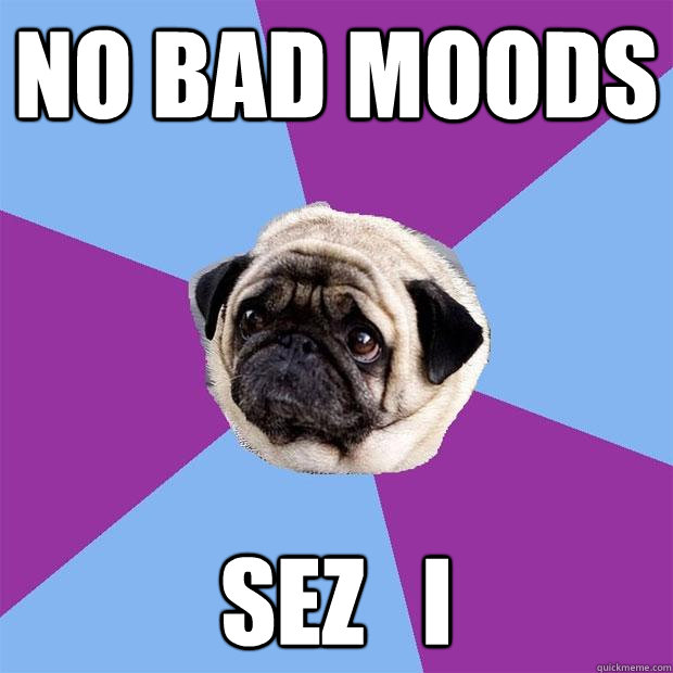 no bad moods sez   i - no bad moods sez   i  Lonely Pug