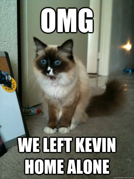 omg we left kevin home alone - omg we left kevin home alone  Misc