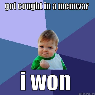 i win - GOT COUGHT IN A MEMWAR I WON Success Kid