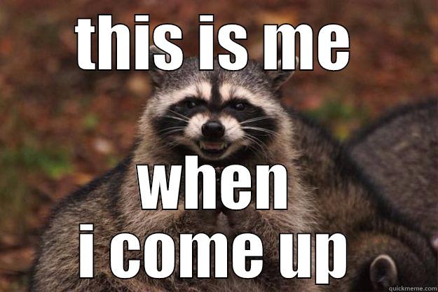 THIS IS ME WHEN I COME UP Evil Plotting Raccoon