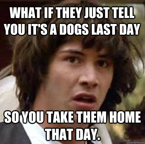 What if they just tell you it's a dogs last day so you take them home that day.  conspiracy keanu