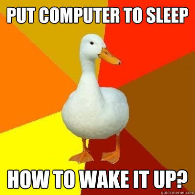 put computer to sleep how to wake it up? - put computer to sleep how to wake it up?  Tech Impaired Duck