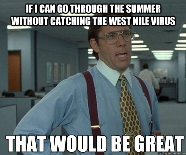 If i can go through the summer without catching the West nile Virus THAT WOULD BE GREAT  that would be great