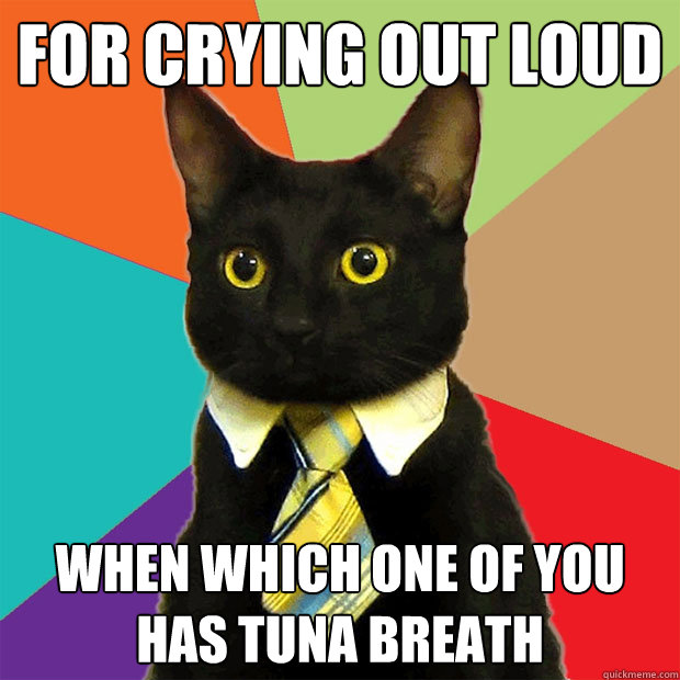 for crying out loud when which one of you has tuna breath  Business Cat