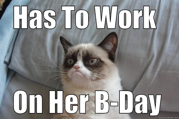 When Grumpy Kat  - HAS TO WORK  ON HER B-DAY Grumpy Cat