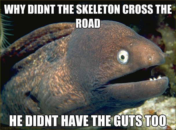 why didnt the skeleton cross the road he didnt have the guts too  Bad Joke Eel