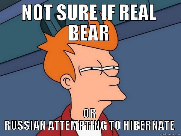 NOT SURE IF REAL BEAR OR RUSSIAN ATTEMPTING TO HIBERNATE Futurama Fry