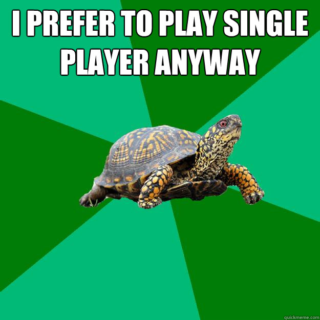 I prefer to play single player anyway   Torrenting Turtle