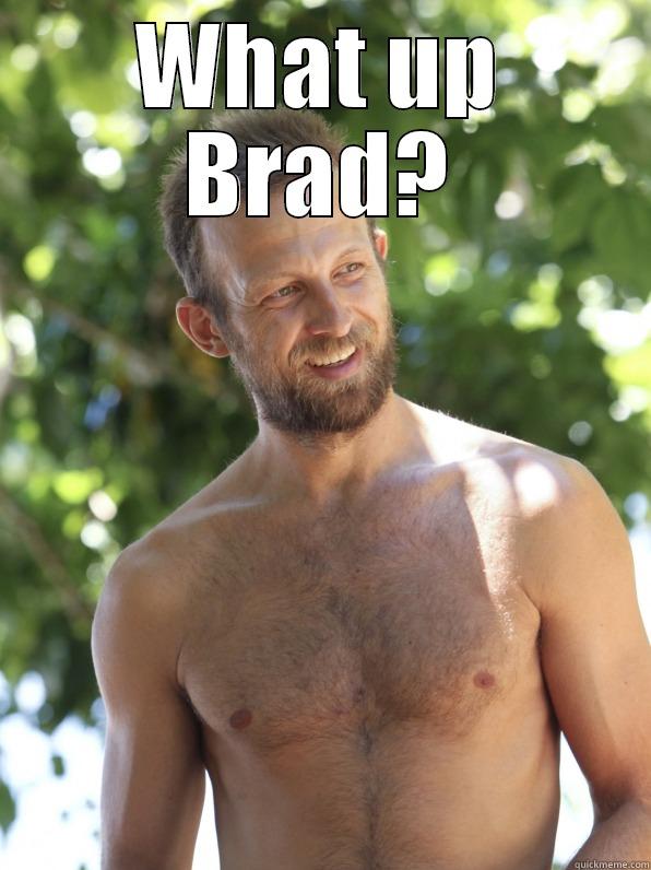 WHAT UP BRAD?  Misc