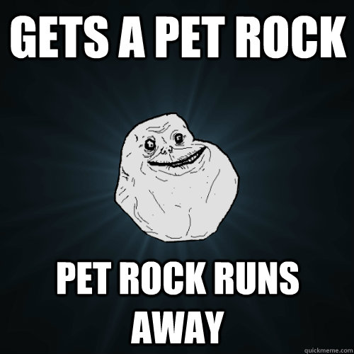 Gets A pet rock Pet rock runs away Forever Alone quickmeme