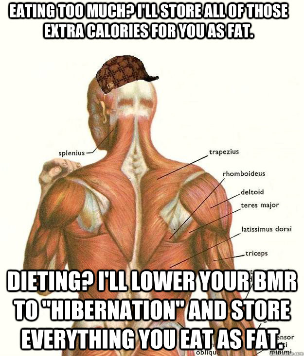 Eating too much? I'll store all of those extra calories for you as fat. Dieting? I'll lower your BMR to 