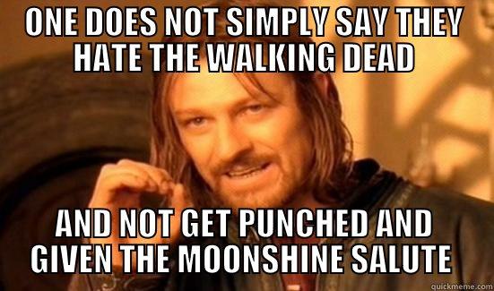 ONE DOES NOT SIMPLY SAY THEY HATE THE WALKING DEAD AND NOT GET PUNCHED AND GIVEN THE MOONSHINE SALUTE  Boromir