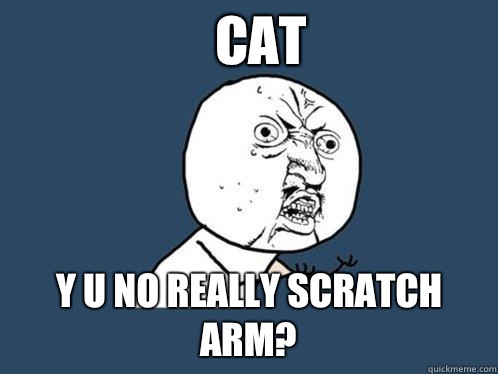 Cat y u no really scratch arm?  Y U No