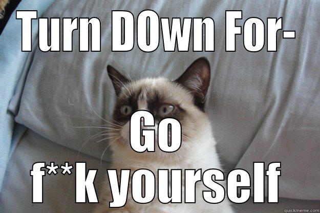 Turn Down For What!? - TURN DOWN FOR- GO F**K YOURSELF Grumpy Cat