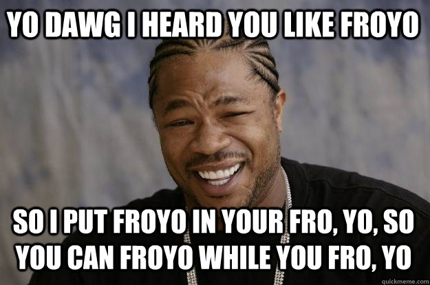 YO DAWG I HEARD YOU LIKE FROYO so I PUT FROYO IN YOUR FRO, YO, SO YOU CAN FROYO WHILE YOU FRO, YO - YO DAWG I HEARD YOU LIKE FROYO so I PUT FROYO IN YOUR FRO, YO, SO YOU CAN FROYO WHILE YOU FRO, YO  Xzibit meme