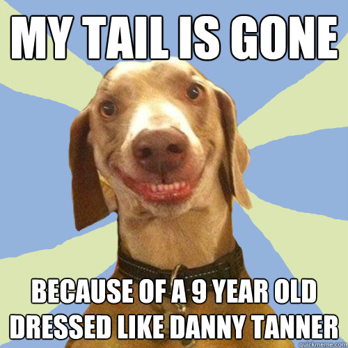 My tail is gone because of a 9 year old dressed like danny tanner  Disgusting Doggy