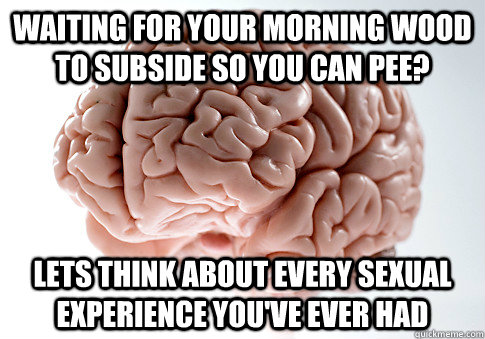 Waiting for your morning wood to subside so you can pee? Lets think about every sexual experience you've ever had  Scumbag Brain