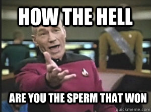 How the hell are you the sperm that won  Annoyed Picard