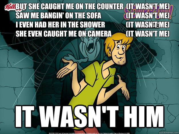 But she caught me on the counter  (It wasn't me)   
Saw me bangin' on the sofa                   (It wasn't me)
I even had her in the shower                (It wasn't me)
She even caught me on camera           (It wasn't me)

 IT wasn't him  Irrational Shaggy