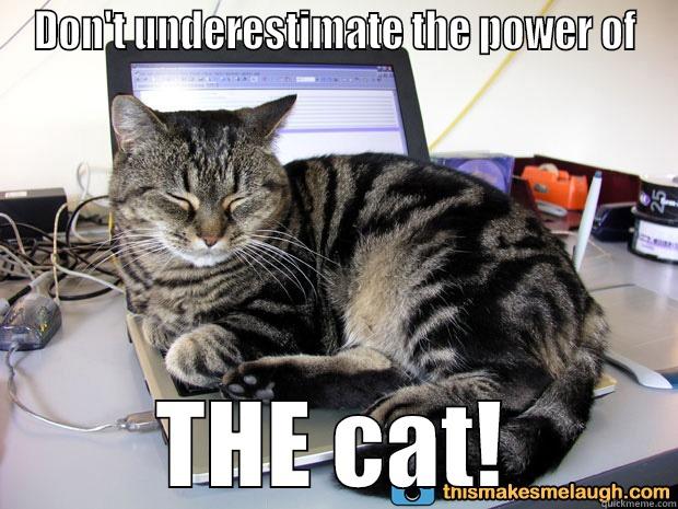 catty world dom - DON'T UNDERESTIMATE THE POWER OF THE CAT! Misc