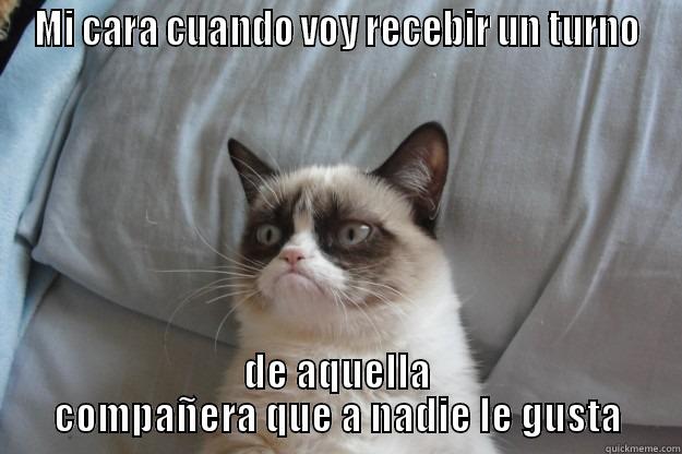 MI CARA CUANDO VOY RECEBIR UN TURNO DE AQUELLA COMPAÑERA QUE A NADIE LE GUSTA Grumpy Cat