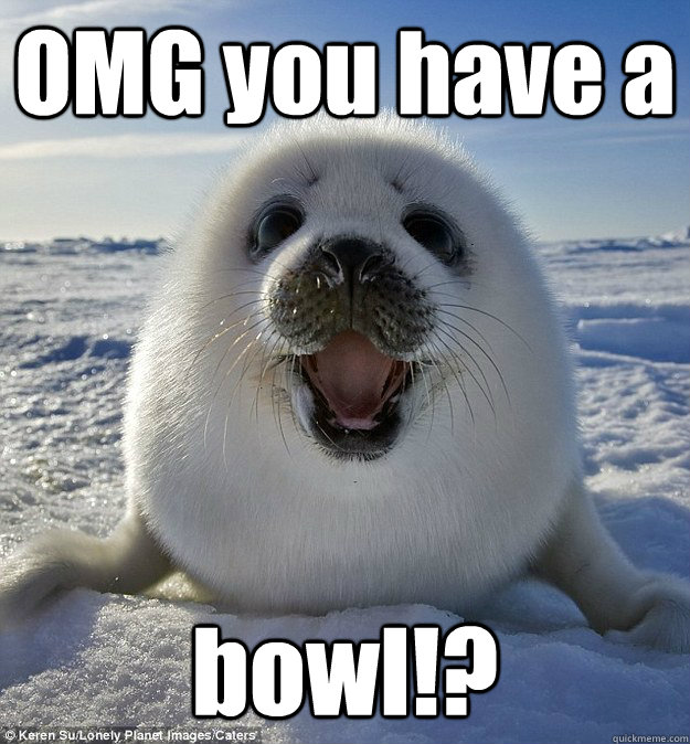 OMG you have a bowl!? - OMG you have a bowl!?  Easily Pleased Seal