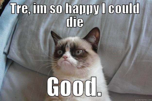 TRE, IM SO HAPPY I COULD DIE GOOD. Grumpy Cat