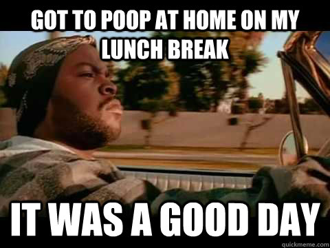 got to poop at home on my lunch break IT WAS A GOOD DAY  ice cube good day