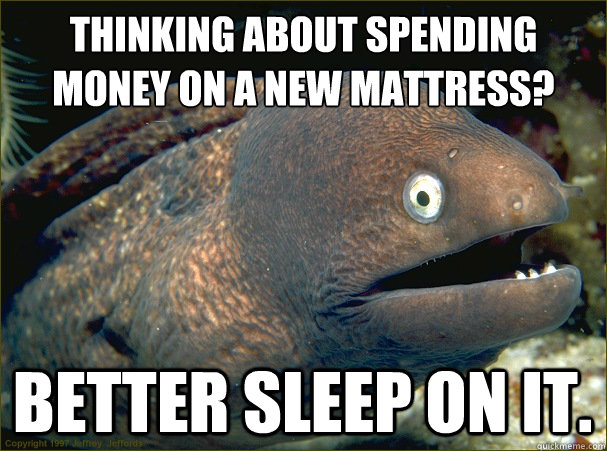 Thinking about spending money on a new mattress? Better sleep on it.  Bad Joke Eel