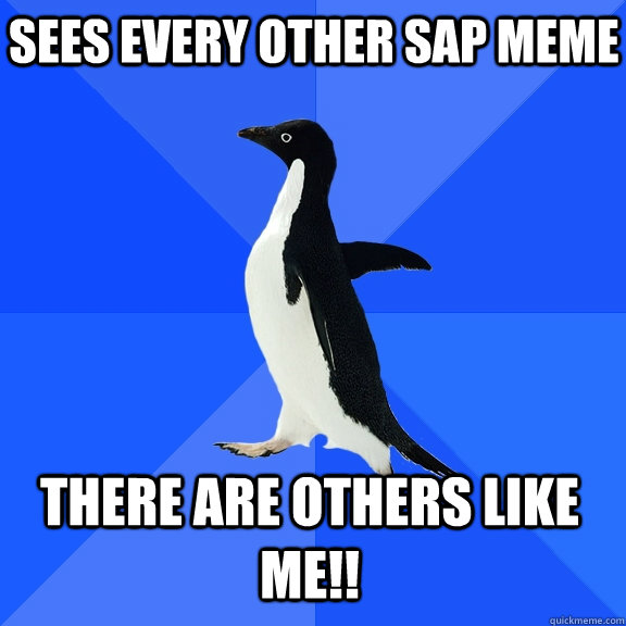 Sees every other SAP meme there are others like me!!    Socially Awkward Penguin