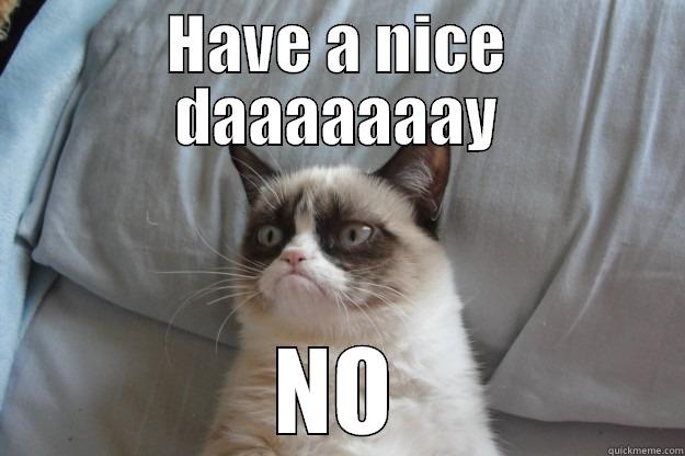 Don't have a nice day - HAVE A NICE DAAAAAAAY NO Grumpy Cat