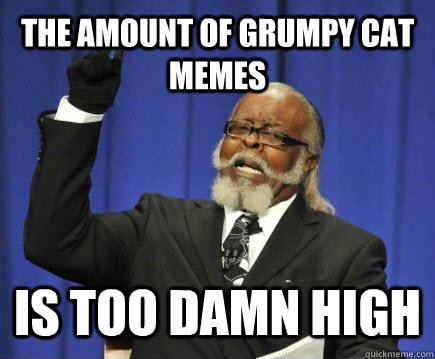 The amount of Grumpy Cat Memes Is too damn high  Too Damn High