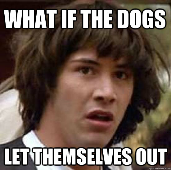 What if the dogs let themselves out  