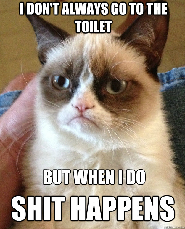 I don't always go to the toilet  but when i do 
 shit happens  Grumpy Cat