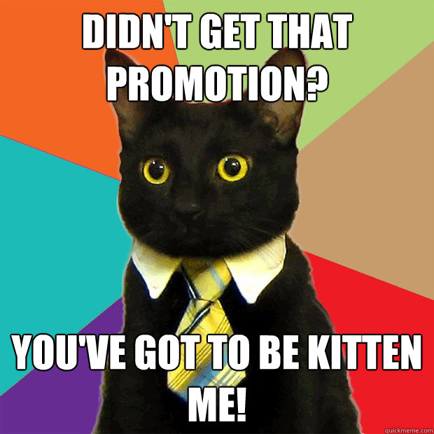 DIDN'T GET THAT PROMOTION? YOU'VE GOT TO BE KITTEN ME!  Business Cat