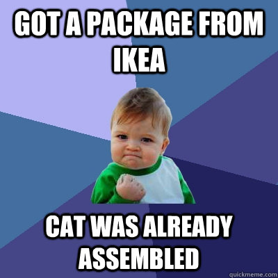 got a package from IKea cat was already assembled  Success Kid