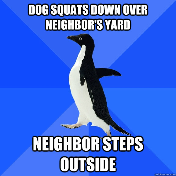 Dog squats down over neighbor's yard Neighbor steps outside  Socially Awkward Penguin