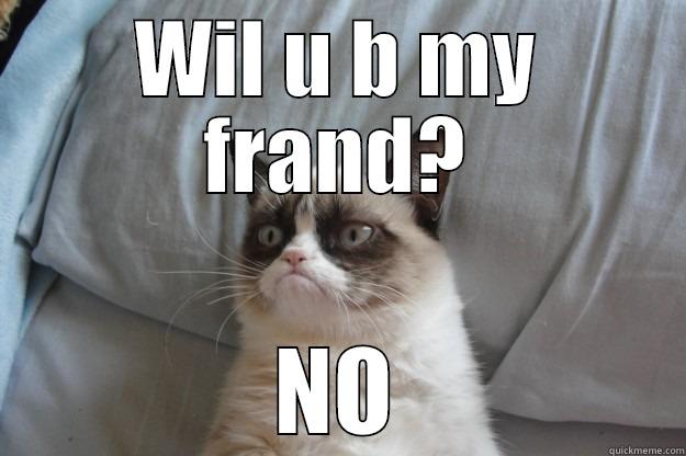 WIL U B MY FRAND? NO Grumpy Cat