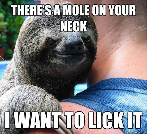 There's a mole on your neck I want to lick it  Suspiciously Evil Sloth