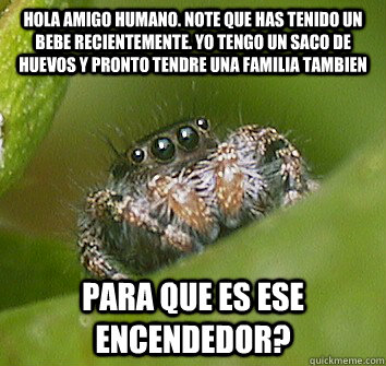 hola amigo humano. note que has tenido un bebe recientemente. yo tengo un saco de huevos y pronto tendre una familia tambien para que es ese encendedor?  Misunderstood Spider