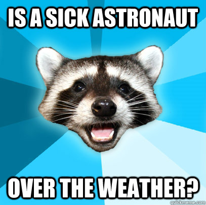 IS A SICK ASTRONAUT OVER THE WEATHER? - IS A SICK ASTRONAUT OVER THE WEATHER?  Lame Pun Coon