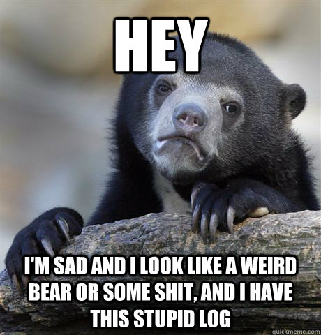 hey I'm sad and i look like a weird bear or some shit, and i have this stupid log  Confession Bear