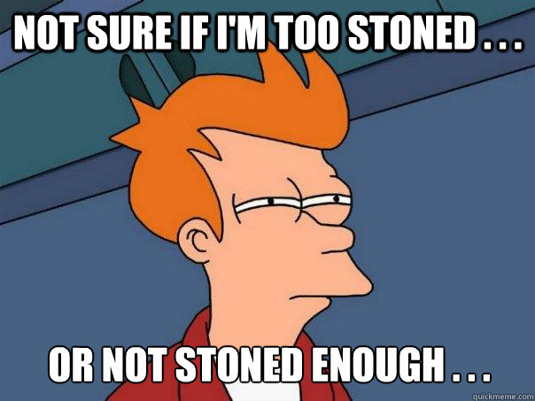 Not sure if i'm too stoned . . . or not stoned enough . . .  Futurama Fry