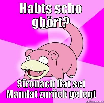 Wolfgang is slow - HABTS SCHO GHÖRT? STRONACH HAT SEI MANDAT ZURÜCK GELEGT Slowpoke