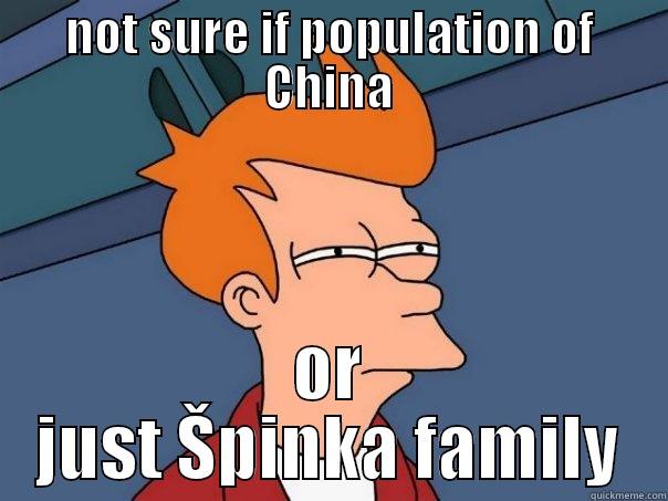 Chinese children - NOT SURE IF POPULATION OF CHINA OR JUST ŠPINKA FAMILY Futurama Fry