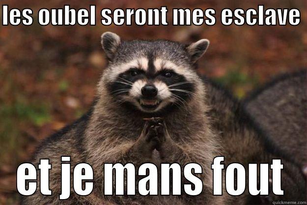 LES OUBEL SERONT MES ESCLAVE  ET JE MANS FOUT Evil Plotting Raccoon