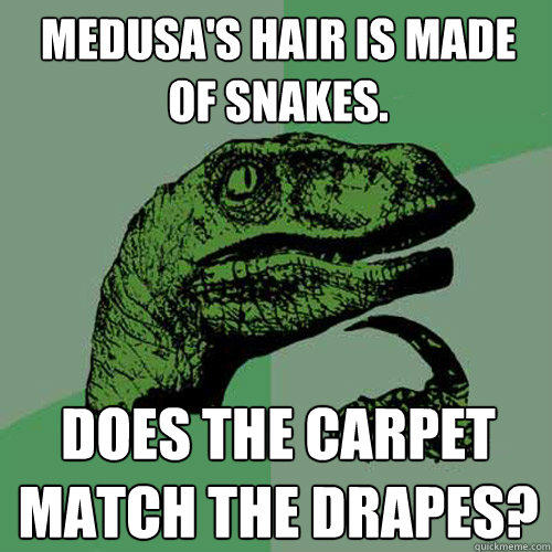 Medusa's hair is made of snakes. does the carpet match the drapes? - Medusa's hair is made of snakes. does the carpet match the drapes?  Philosoraptor