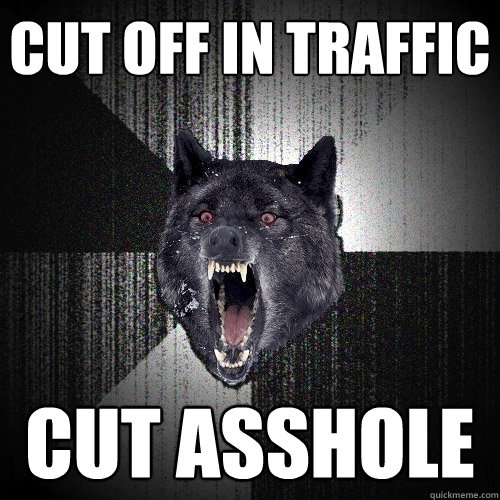 Cut off in traffic Cut asshole  Insanity Wolf